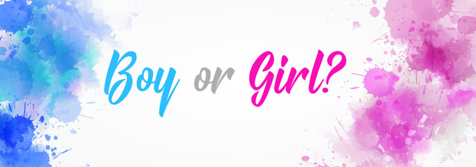 Wall Mural - Boy or girl. Gender reveal illustration. Inspirational  modern calligraphy lettering on watercolor painted splash. Template typography forhorizontal banner.