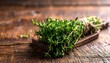 © pj - Fresh Thyme Sprigs on Rustic Wooden Board