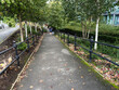 Tree-lined pathway in UK, with people walking under lush greenery