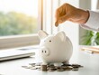 © n0feel_studio - Dropping coin into white piggy bank on office desk surrounded by scattered coins in bright natural light