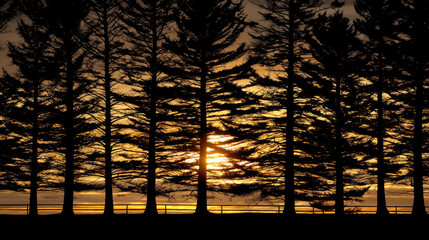 Wall Mural - Silhouetted trees against vibrant sunset create stunning contrast, showcasing nature beauty. warm hues of orange and yellow blend seamlessly with dark outlines of trees, evoking sense