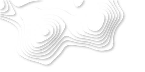Wall Mural - abstract luxury diamond creative topography map background vector natural shadow papercut web topogr