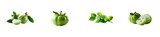 Fresh green garcinia fruits with leaves and flower, cut out transparent