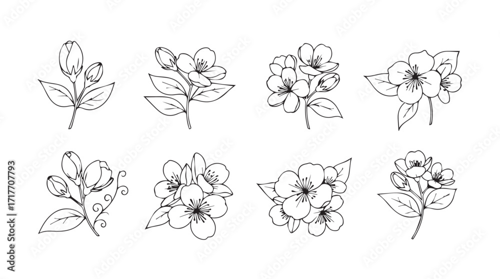 Delicate blossom collection hand drawn line art botanical elements for floral designs silhouette