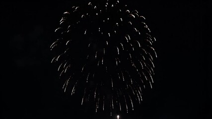 Spectacular Fireworks Display Bursting Against the Night Sky - Celebration