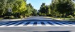 © Opaopi - Residential street with pedestrian crossing and lush green trees