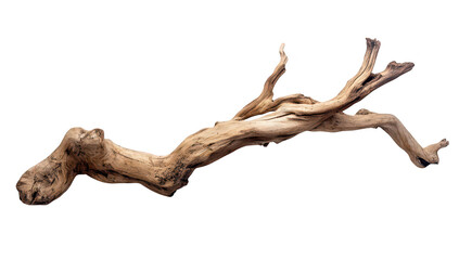 A beautifully textured piece of driftwood with intricate natural patterns. its organic form and earthy tones. ideal for use in home decor or artistic displays