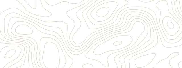 Topography curved layers background texture. Topographic map subtle fluid wavy lines. Seamless contour lines pattern on black. Geographic elevation texture.