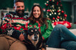 © Zamrznuti tonovi - Happy couple relaxing with their dog wearing reindeer antlers by christmas tree