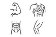 © Gabriel - Simple Linear Muscle Outline Collection with Editable Stroke for Web, Books, Cards, Apps, Vector Cartoon Illustration of Arm, Abs, Chest, and Knee Anatomy on Transparent Background