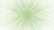 © Lara - Green and white sunburst background. Abstract wallpaper with rays. Sunshine hand drawn vector.