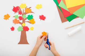 Wall Mural - Little child hands cutting maple leaf on light gray table background. Creating  tree with colorful leaves from paper. Closeup. Making beautiful autumn decoration. Point of view shot. Top down view.