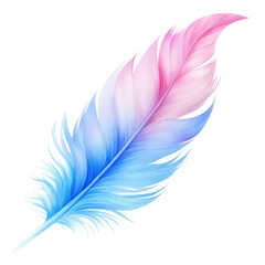 Wall Mural - A beautifully rendered feather with a gradient of pink and blue hues
