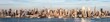 © Matteo Colombo - Wide panoramic of midtown Manhattan skyline, New York city