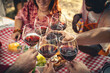 © Lomb - Close up of friends toasting with red wine glasses at a picnic. Diverse group celebrating together outdoors, concept of friendship, community and Italian lifestyle.
