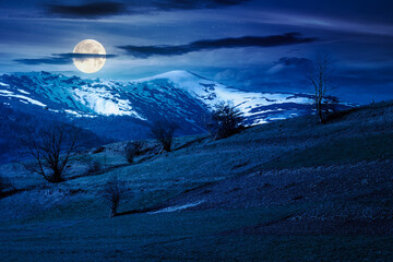 Wall Mural - mountainous countryside landscape in spring at night. grassy field on slope of a hill. mountain ridge with snow capped tops in the distance in full moon light. sunny weather with clouds on the sky