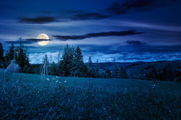 Wall Mural - rural area in autumn at night. scenic view. countryside scenery with rolling hills. mountain landscape in full moon light. provincial outdoor adventure