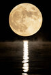© Wang - Full moon above calm water, reflecting light.