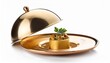 © Donald - elegant food presentation under golden cloche gourmet dish isolated on white background
