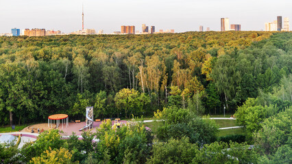 Wall Mural - panoramic view of green forest of city park