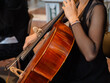 © giansacca - Violoncellista
