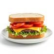 © tash - Delicious Cheeseburger Sandwich With Fresh Ingredients Ready To Eat