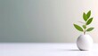 © 健 板澤 - 白色基調のシンプルな背景画像　かわいい小さな観葉植物