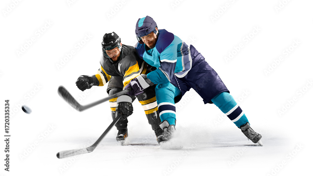 Professional sport. Hockey. Professional ice hockey players on ...