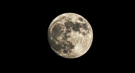 Full moon in a dark sky showing craters and surface details.