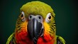 © Jagdish - a close up of a parrot's face with a green back ground and a black back ground with a green back ground.  generative ai