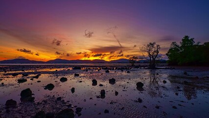 Wall Mural - 
Golden hour unfolds in a mesmerizing time lapse as sunlight pours through the gaps in the mangrove trees. Gentle waves lap the shoreline, adding movement to this serene and meditative coastal scene.
