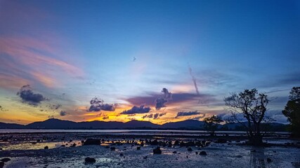 Wall Mural - time lapse captures the golden sun slowly descending behind the mountain ridge, casting long shadows over a vast expanse of mangrove trees.The peaceful rhythm of nature unfolds as twilight