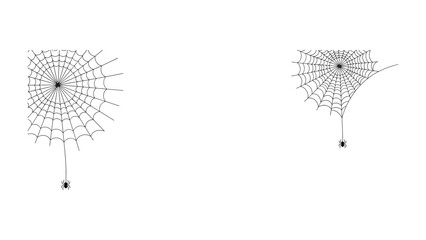 Intricate Spiderwebs: Artistic close-up of delicate spiderwebs, with symmetrical radial designs, meticulously crafted by the spider. Reflecting the intricate beauty of nature's architecture.