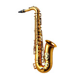 Polished gold saxophone