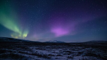 Wall Mural - colorful aurora shifting from green to purple across a remote tundra landscape under a moonless sky 