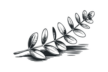 Wall Mural - Branch with Oval Leaves. Vector hand drawn illustration