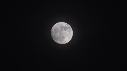 Wall Mural - Beautiful clear shot of a full moon on a clear night