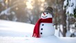 © Jangan - Cheerful snowman in snowy winter scene