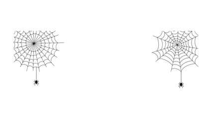 Spiderweb: A striking visual of a spiderweb, showcasing its intricate design and artistry against the backdrop of the clear sky, which evokes a sense of the mysterious.