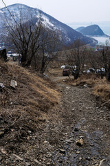 Wall Mural - dirty path in petropavlovsk-kamchatsky in spring