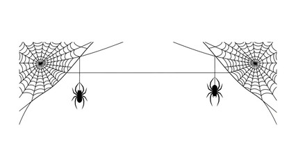 Spider Web: The delicate design of two intricate spiderwebs, each adorned with a hanging spider, create a captivating spectacle of natural architecture.