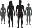 © ProVector Shapes - silhouettes of people