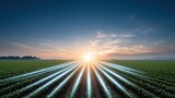 A modern farm landscape where straight digital lines connect each crop row, representing smart agriculture technology.