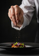 © Aurora Aesthetics - A chef's hands sprinkling sea salt or pepper over a finished gourmet dish an action shot of the final touch in fine dining with copy space on the plate