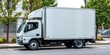 © lalita - Delivery truck with large cargo box parked curbside, freight delivery, automotive