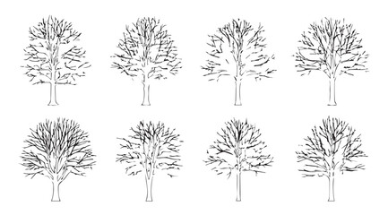 Collection of eight detailed line art tree silhouettes for design and illustration