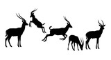 A group of antelope silhouettes isolated on white background are shown