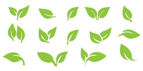 Wall Mural - Eco green color leaf vector logo flat icon set. Isolated leaves icons on white background. Set of leaves green leaf nature art illustration. Bio plant and tree floral forest concept design