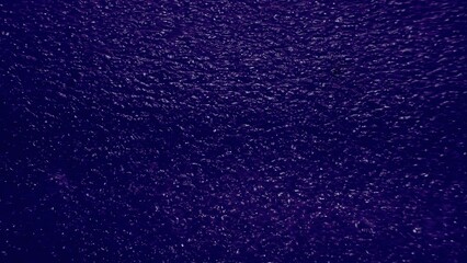 Wall Mural - vibrant purple textured surface with subtle light reflections for background, wallpaper, and design projects