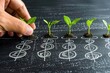 © RAHANUN - A hand plants a seedling into soil above a series of dollar signs drawn on a dark surface, representing growth and investment